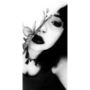 serbestvezinsemboliksizofreni avatar