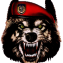 serbian-special-forces avatar