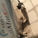 serdest212121 avatar