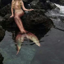 sereiadocerrado avatar