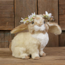 serenade-bunny avatar