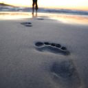 serendipitouswanderings avatar