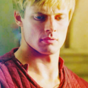 serendipity-14 avatar