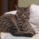 serendipitydonuts avatar