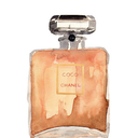 sereneinseattle avatar