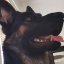 serenewanderer avatar