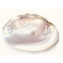 serenity-islam avatar