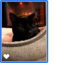 serenityslain avatar