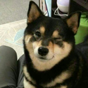 sergio-san avatar