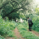 sergioaparicio avatar