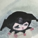 serial-experiments-avi avatar