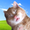 serial-kittyposter avatar