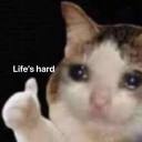 serialcereals avatar