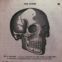 serialoddities-blog avatar