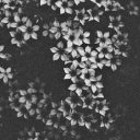 serious-stardust avatar