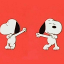 seriouscheesecake avatar