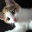 seriousio6ypdm-blog avatar