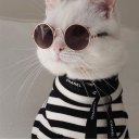 seriouslybitchnowdie avatar