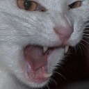 seriouslydud-e avatar