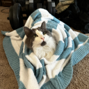 serotoninleak avatar