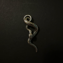 serpentine-reflections avatar