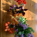 serpentine-road avatar