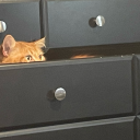 serraphinaccfinds avatar