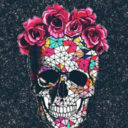 sertsever006-blog avatar