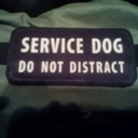 servicedogeducation avatar