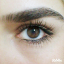 serxwebun2306 avatar