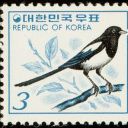 sesamebirds-2 avatar