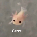 sesiresketches avatar