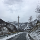 sesolotufossi avatar