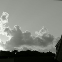 sesquipedalius avatar