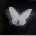 sessiz-cinayet avatar