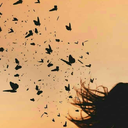 sessizkartanesi-blog avatar