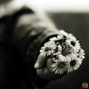 sessizlikisteyenkiz avatar