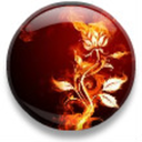 set-ur-world-on-fire avatar
