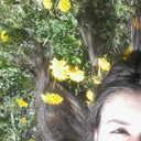 setedisorrisi avatar