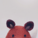 setforthfornorth avatar