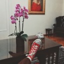 sethelwtavradia avatar