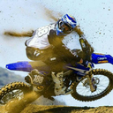 setiawanmufans avatar