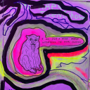 settlers-of-caltrans avatar