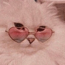 settling-into-hell avatar