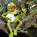 settlingonthisurl avatar