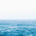 setyourgoalhigh avatar