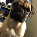 setyourself-free avatar