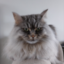 setyoursmileonfire avatar