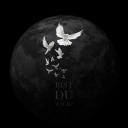 setzdichdrauf avatar