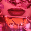 setzehomes avatar